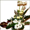 Perfect for U - Click here to View more details about this Product